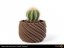 Filament Fillamentum Timberfill rosewood Wood Flowerpot 3D print