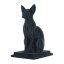 3D Sphynx PCTG black 0.8kg