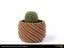 Filament Fillamentum Timberfill cinnamon Flowerpot 3D printed