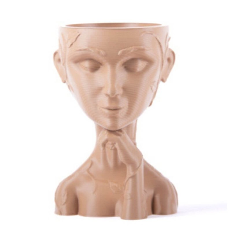Filament PM PLA+ Skin 479C