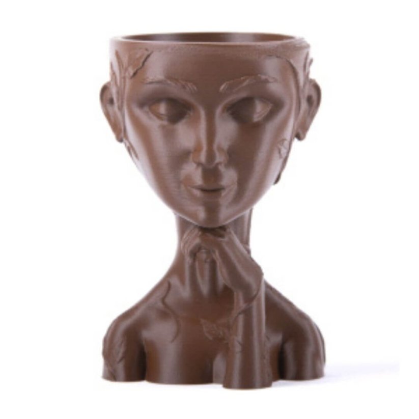 Filament PM PLA+ Skin 477C